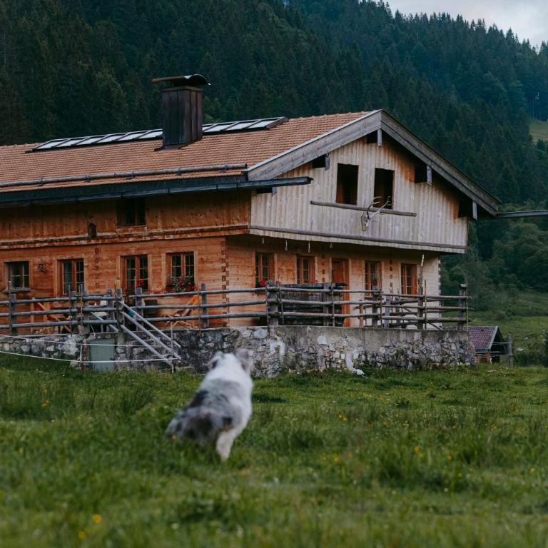 Hasenalm - Haus mit 3 Schlafzimmern - 2