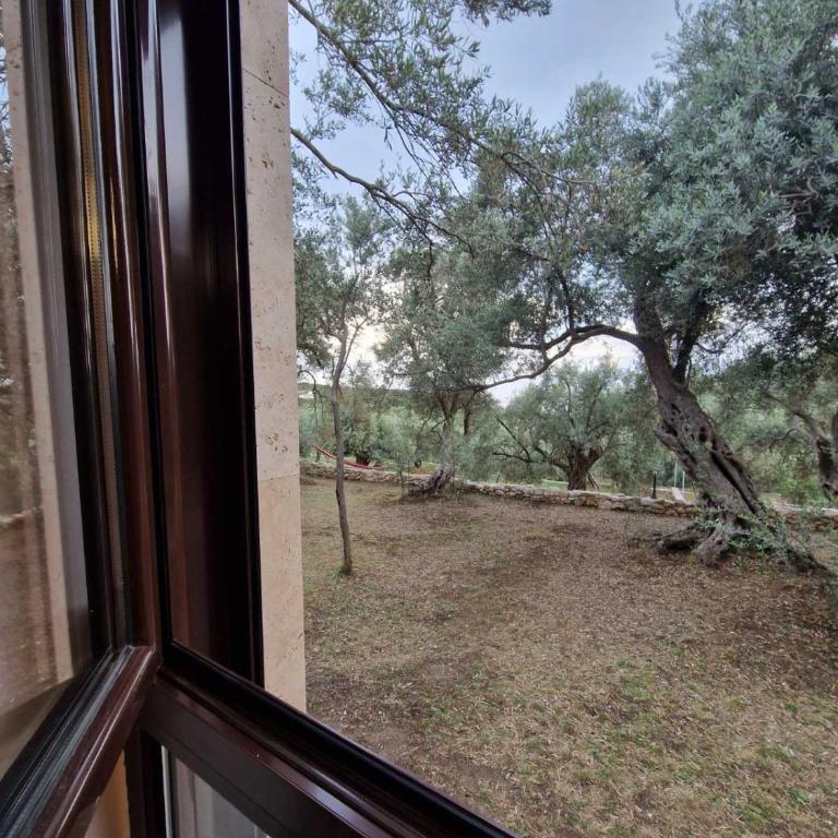OLEA COTTAGE - One-Bedroom Apartment - 9