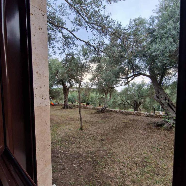 OLEA COTTAGE - One-Bedroom Apartment - 5