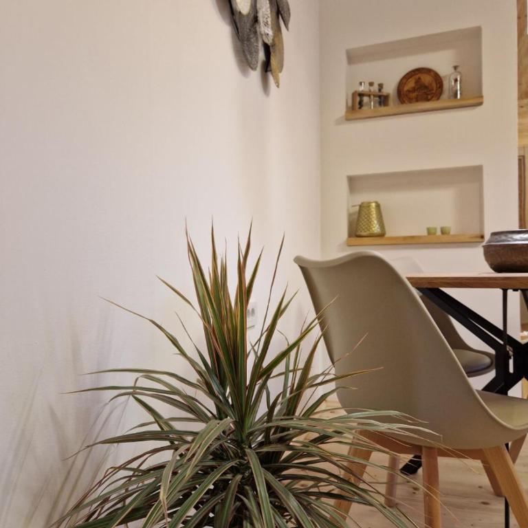 OLEA COTTAGE - One-Bedroom Apartment - 25