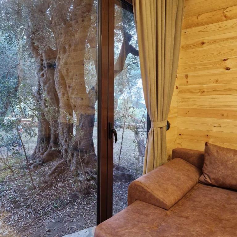 OLEA COTTAGE - One-Bedroom Apartment - 43