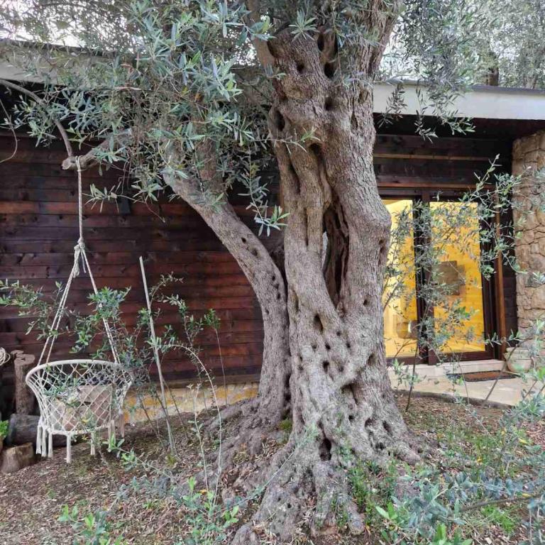 OLEA COTTAGE - One-Bedroom Apartment - 40