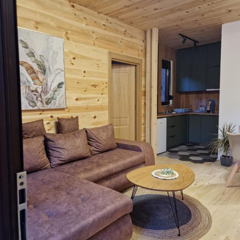 OLEA COTTAGE - One-Bedroom Apartment - 45