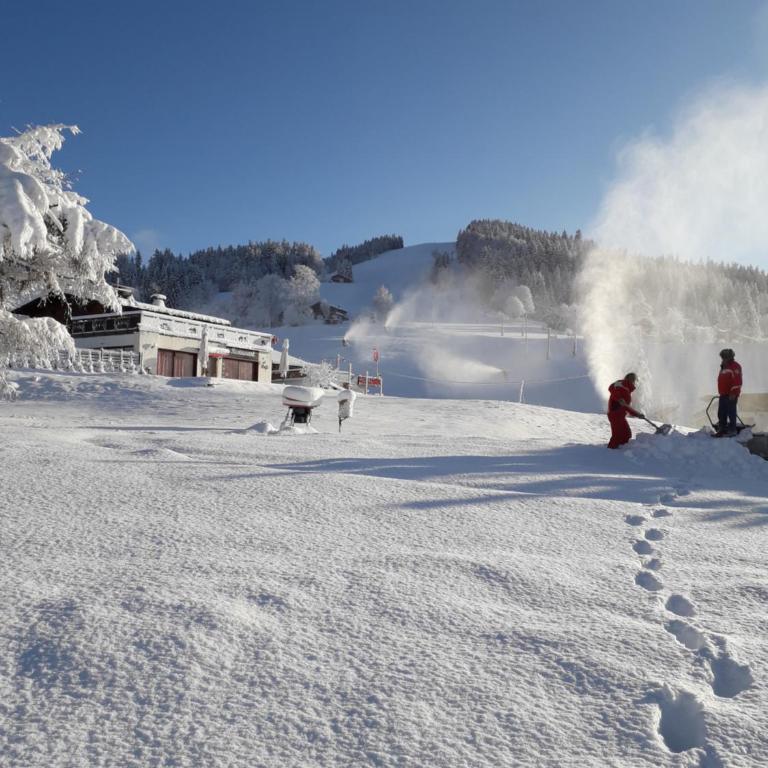 Chalet Le Wapiti, aux pieds des pistes, à 200m du village - Chalet - 3