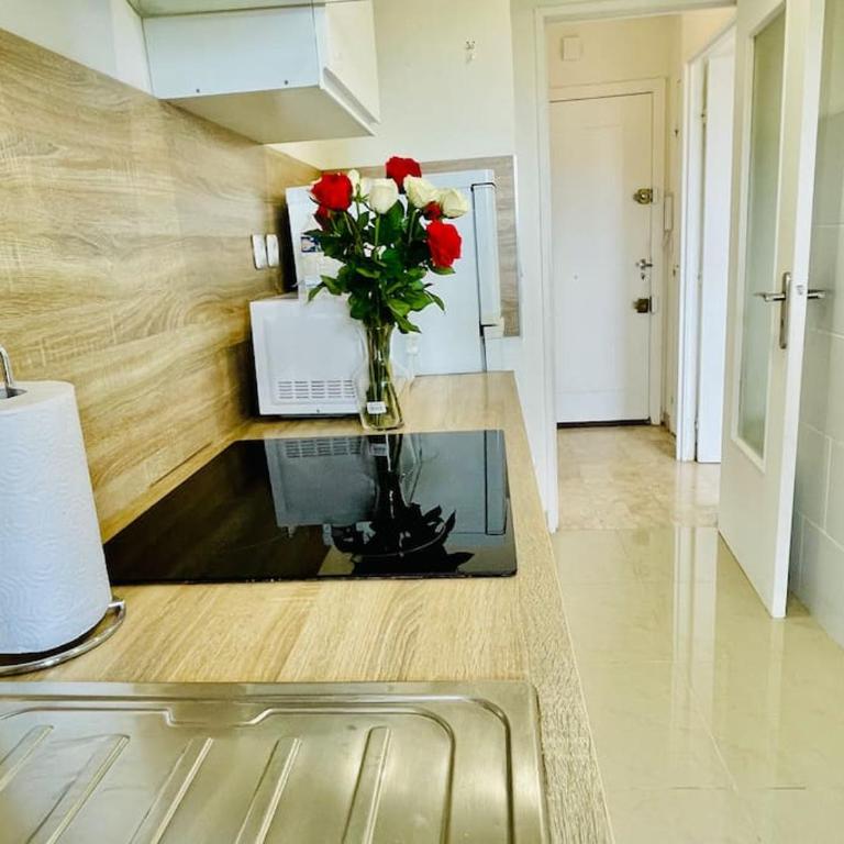 Climatisé 2 pièces Vue Mer terasse Parking - Appartement 1 Chambre - 2