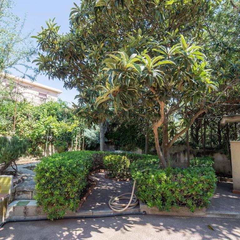 Villa Giusy Fontane Bianche - Appartamento - 6