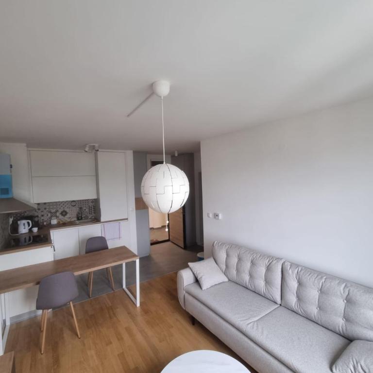 Airport Penthouse Apartments - Apartman sa 1 Spavaćom Sobom - 9