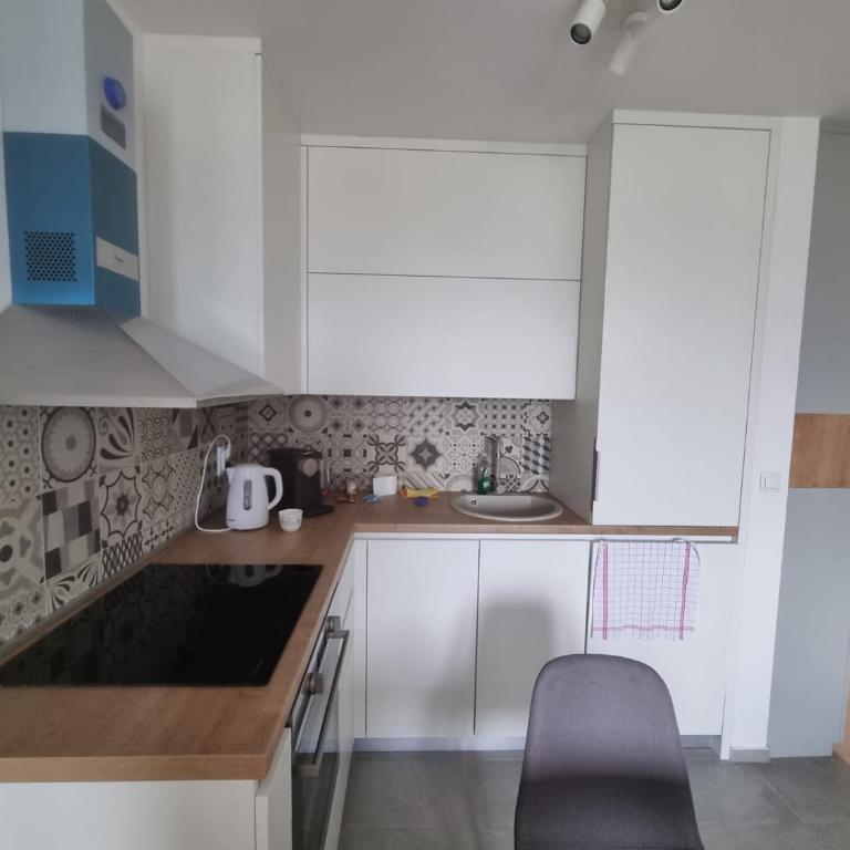 Airport Penthouse Apartments - Apartman sa 1 Spavaćom Sobom - 13