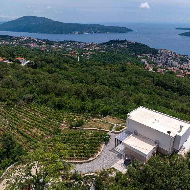 Villa Trebesin - Villa with Private Pool - 88