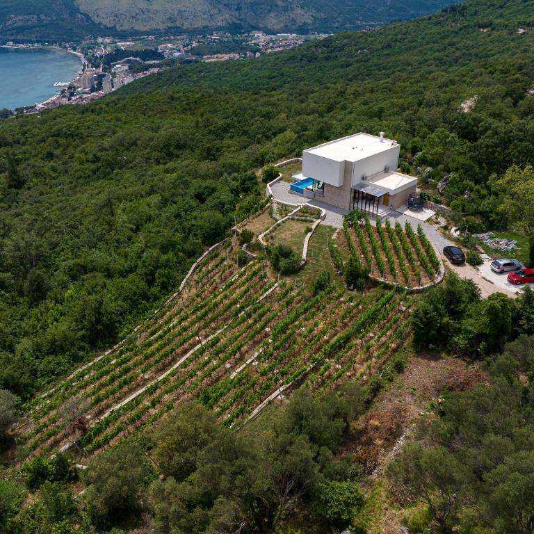 Villa Trebesin - Villa with Private Pool - 84