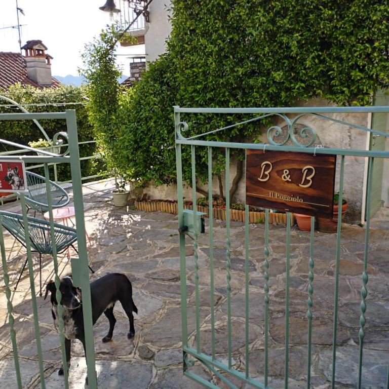 B&B Il Poggiolo - Camera Matrimoniale con Vista Lago - 25