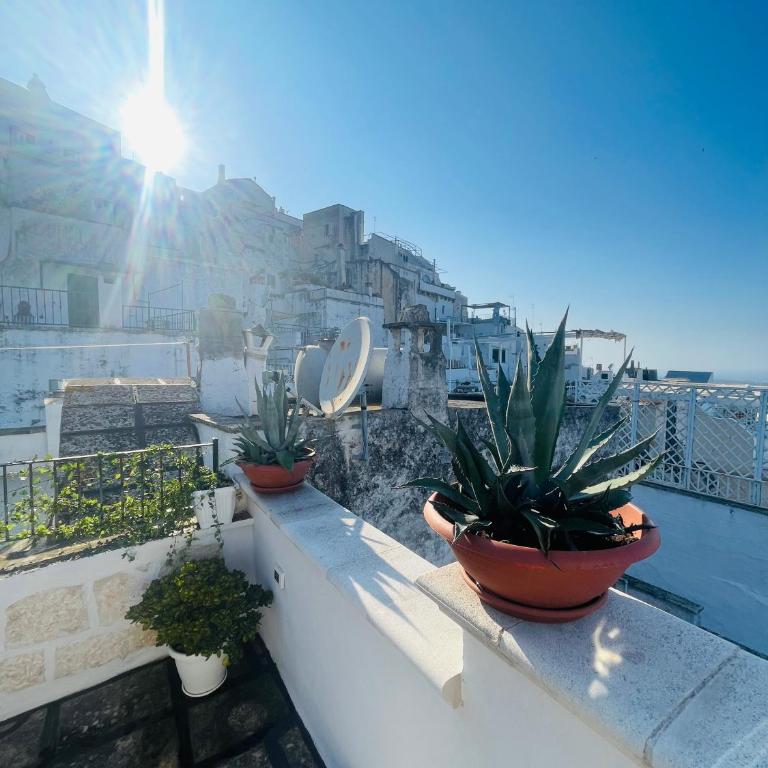 WHITE STONE- La Terrazza - Casa con 1 Camera da Letto - 43