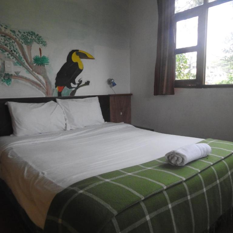 Biohostal Mindo Cloud Forest - Habitación Doble Estándar - 4