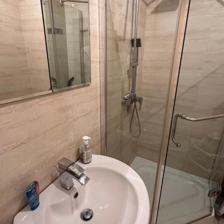 Civcic Apartmani - Apartman sa 1 Spavaćom Sobom - 7