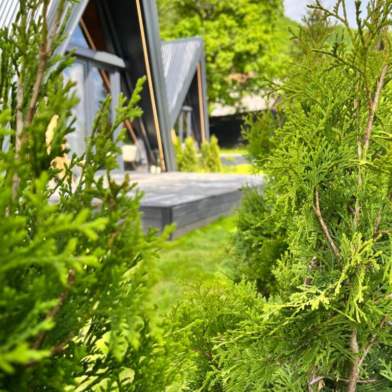 Loon Moon Mountain Chalets - Brvnara sa 1 Spavaćom Sobom - 3