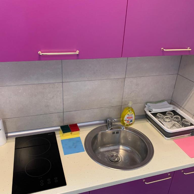 De Lux Nedeljkovic - Apartman sa 1 Spavaćom Sobom - 10