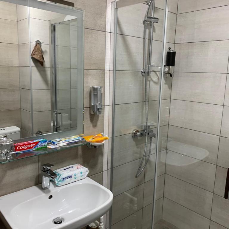 De Lux Nedeljkovic - Apartman sa 1 Spavaćom Sobom - 78