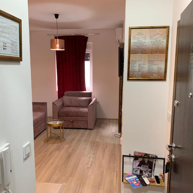 De Lux Nedeljkovic - Apartman sa 1 Spavaćom Sobom - 5