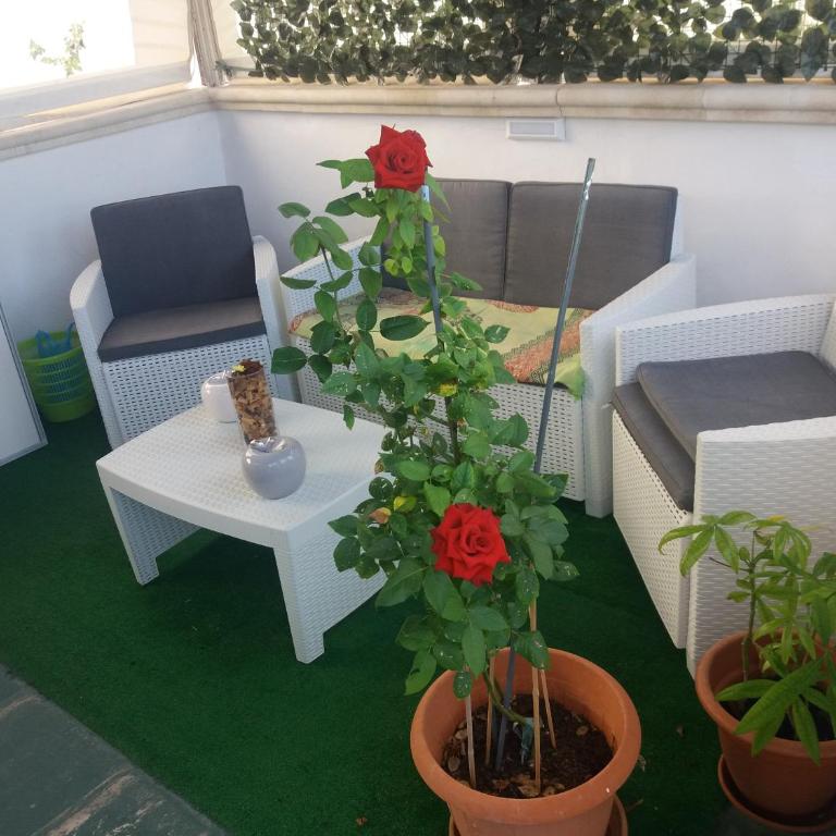 Che bella vita! - Appartamento - 53