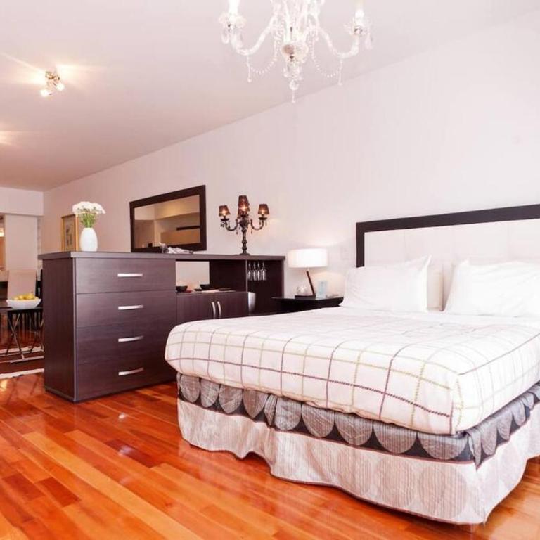 Palermo Soho/Large studio Plaza Armenia area - Apartamento de 1 dormitorio - 1
