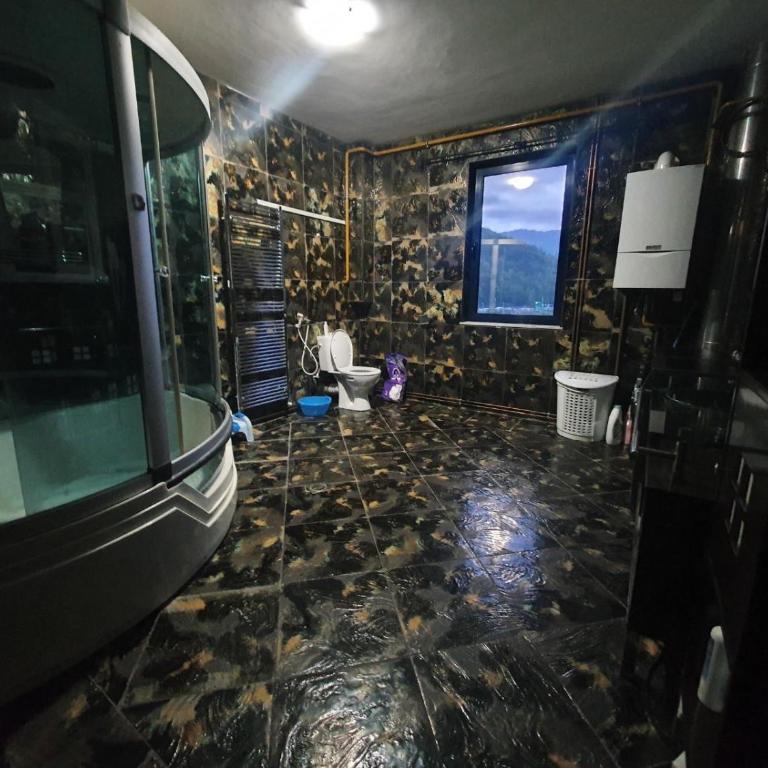 Sarajevo Deluxe penthouse and pool - Apartman sa 3 Spavaće Sobe i Sopstvenim Bazenom - 45