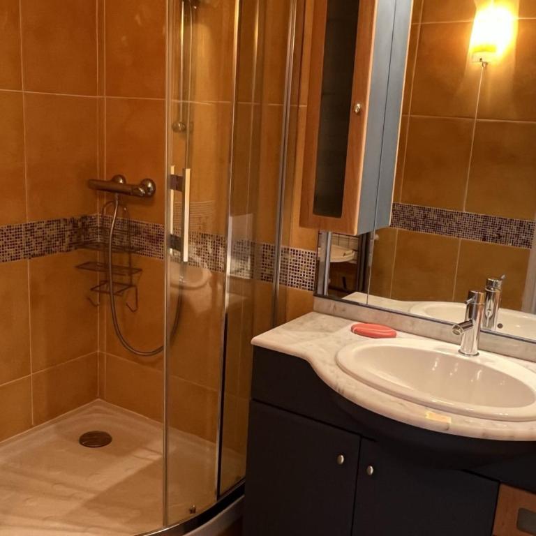 Appartement 2P, Rez-de-jardin, Accès Plage, Animaux OK, Parking, Internet Inclus - FR-1-487-355 - Appartamento - 12