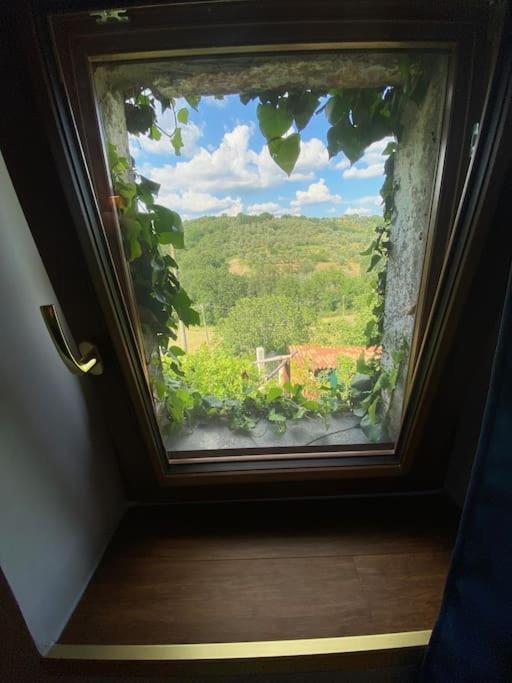 Dimora Bella Civita Bagnoregio - Casa - 18