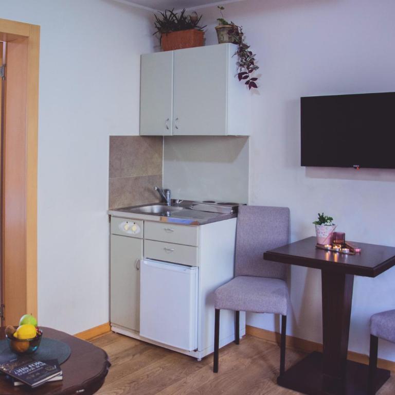Vila Ljubica - Apartman sa 1 Spavaćom Sobom - 3