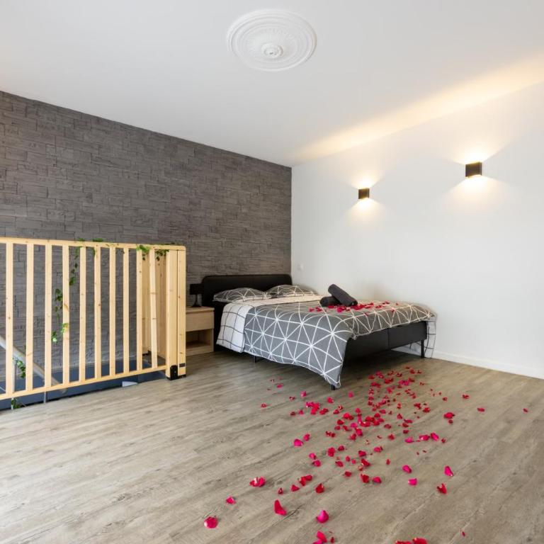 Cosy Room Jacuzzi Romantique - Apartment mit 1 Schlafzimmer - 6
