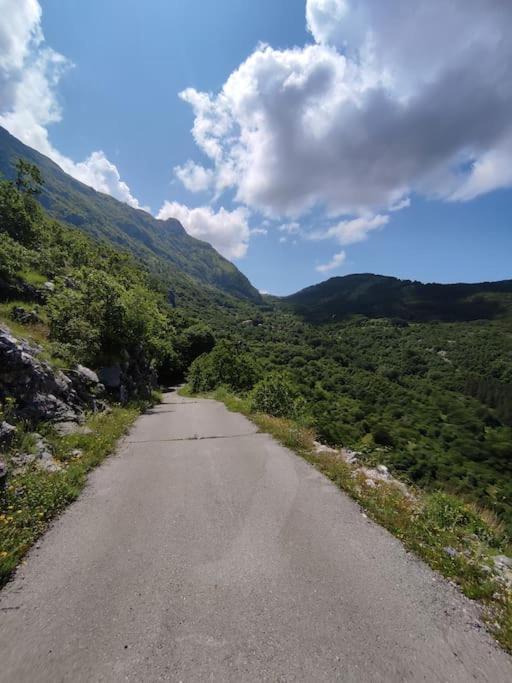 Nature Escape Montenegro - Apartman sa 1 Spavaćom Sobom - 26
