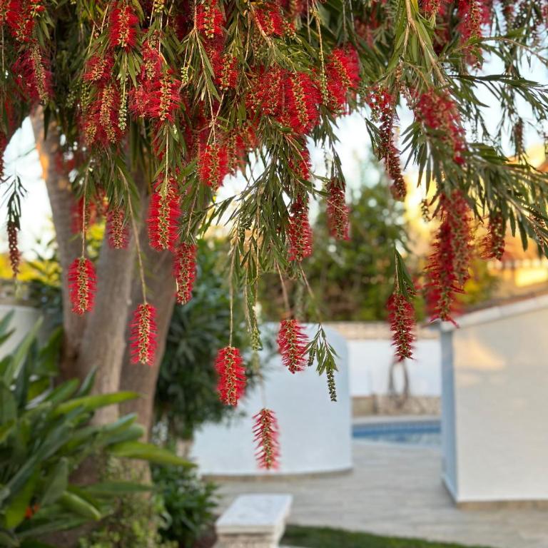 La Duna de Denia - Villa de 3 dormitorios - 61