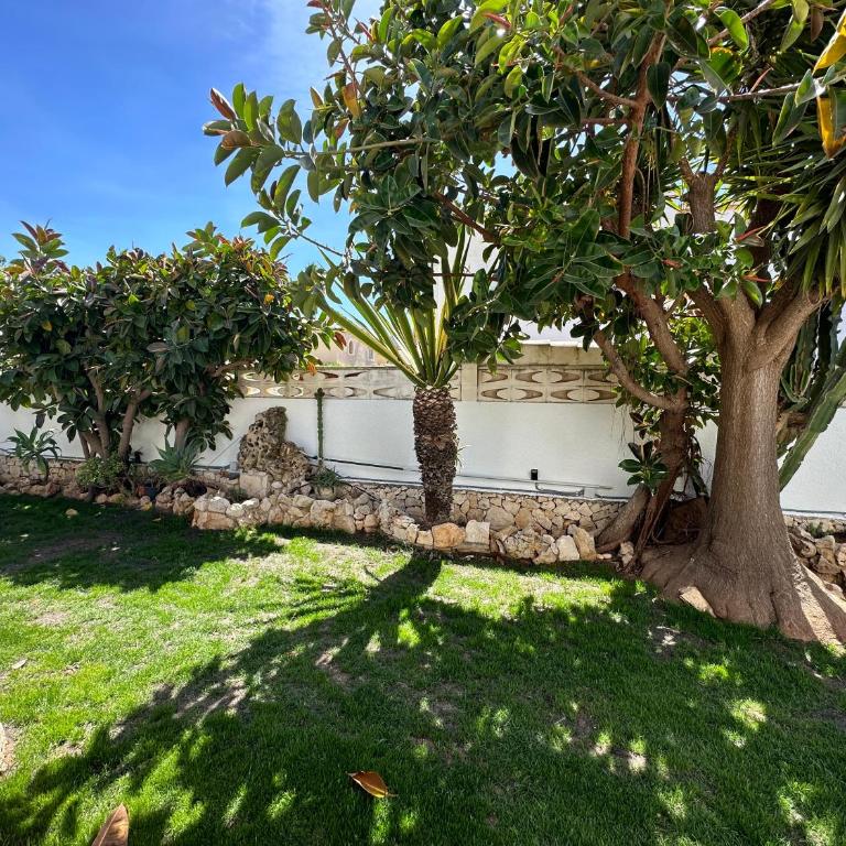 La Duna de Denia - Villa de 3 dormitorios - 49