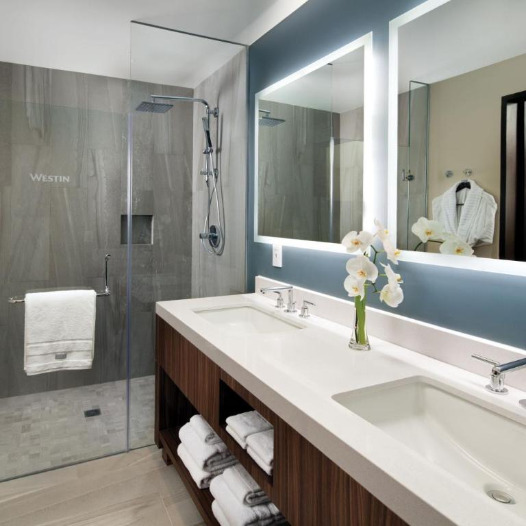 The Westin Los Cabos Resort Villas - 2 Bedroom Villa - 4