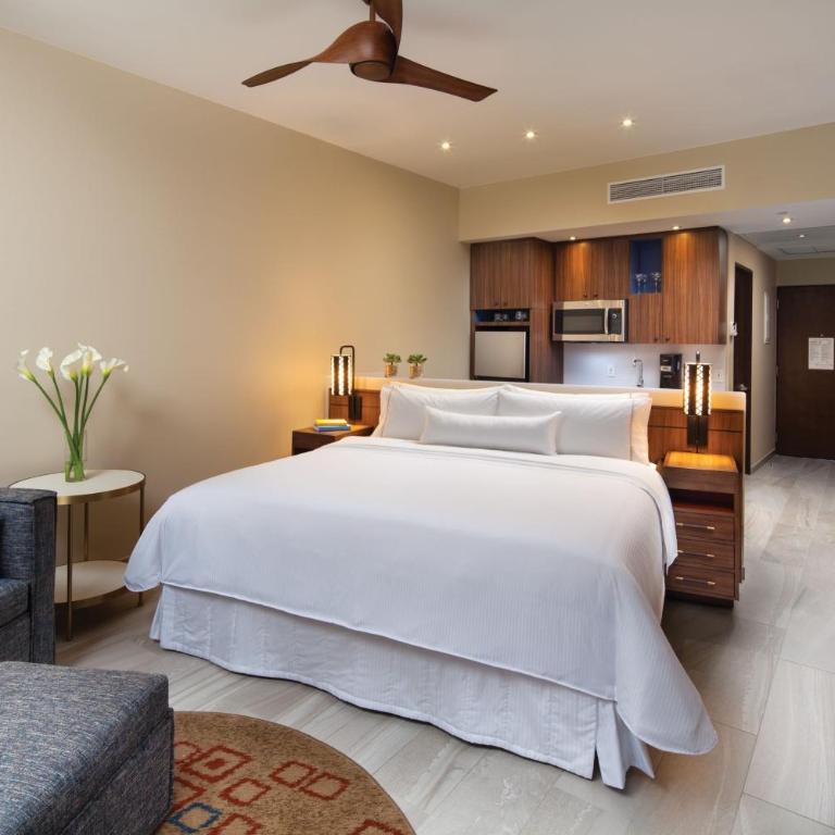 The Westin Los Cabos Resort Villas - Studio - 1