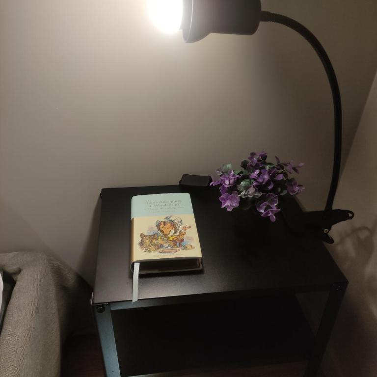 150 m dal Colosseo - Appartamento Minerva - Appartamento con 1 Camera da Letto - 5