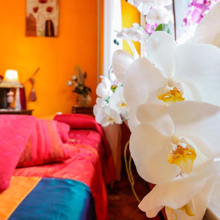Bed and Breakfast Dolce Vita Bologna - Camera Matrimoniale con Bagno in Comune - 12