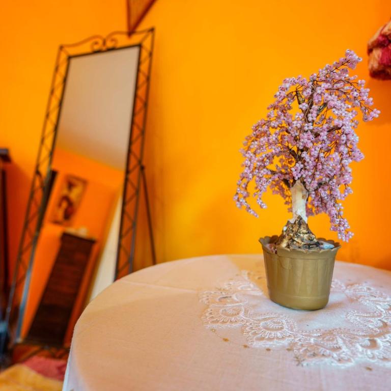 Bed and Breakfast Dolce Vita Bologna - Camera Matrimoniale con Bagno in Comune - 5