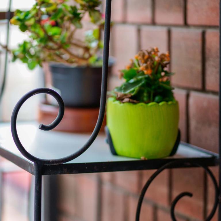Bed and Breakfast Dolce Vita Bologna - Camera Matrimoniale con Bagno in Comune - 21