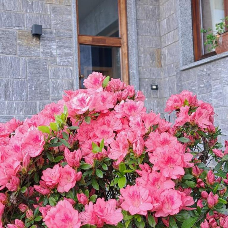 Villa la Serra - Casa con 2 Camere da Letto - 23