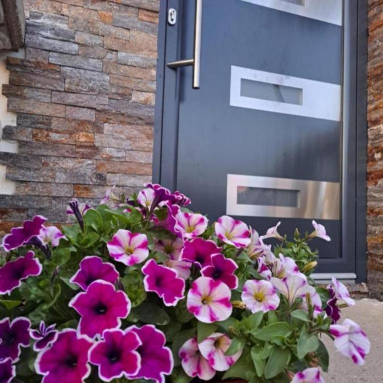 House For Rest Happy House - Apartman - 3