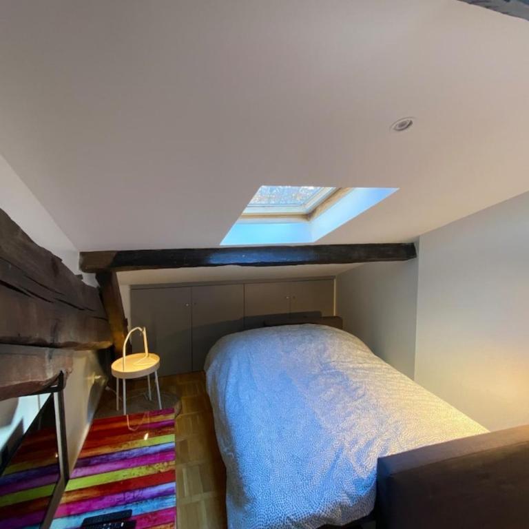 Le Petit Arloing-Studio Quais de Saône Vaise - Appartement - 13