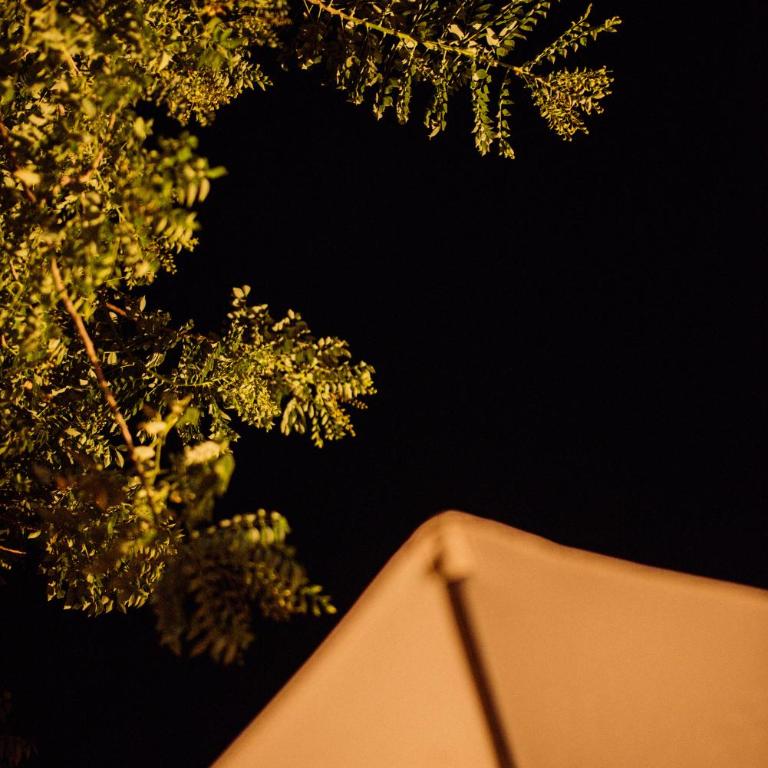 Glamping Sunset Hill Salamina-Caldas - Chalet - 45
