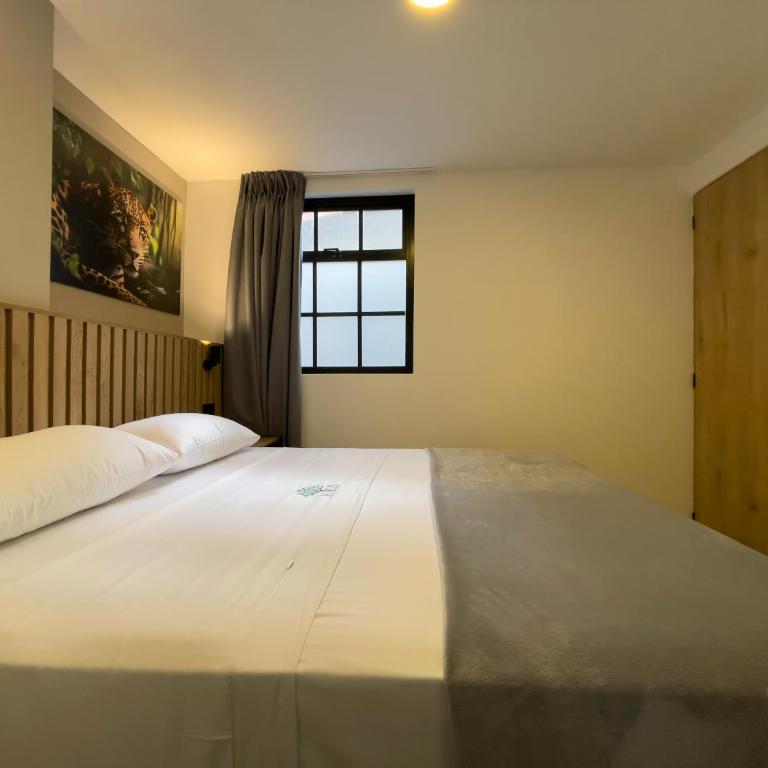 Vita Hotel Boutique - Habitación Deluxe - 1 cama grande - 1