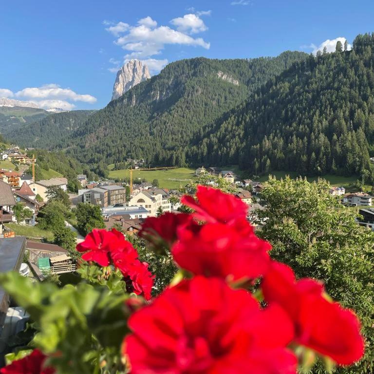 Apartment Cesa Collina - Superior Suite - Appartamento Superior - 18