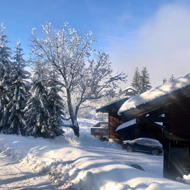 Le Chalet de Nabor - Chalet - 52