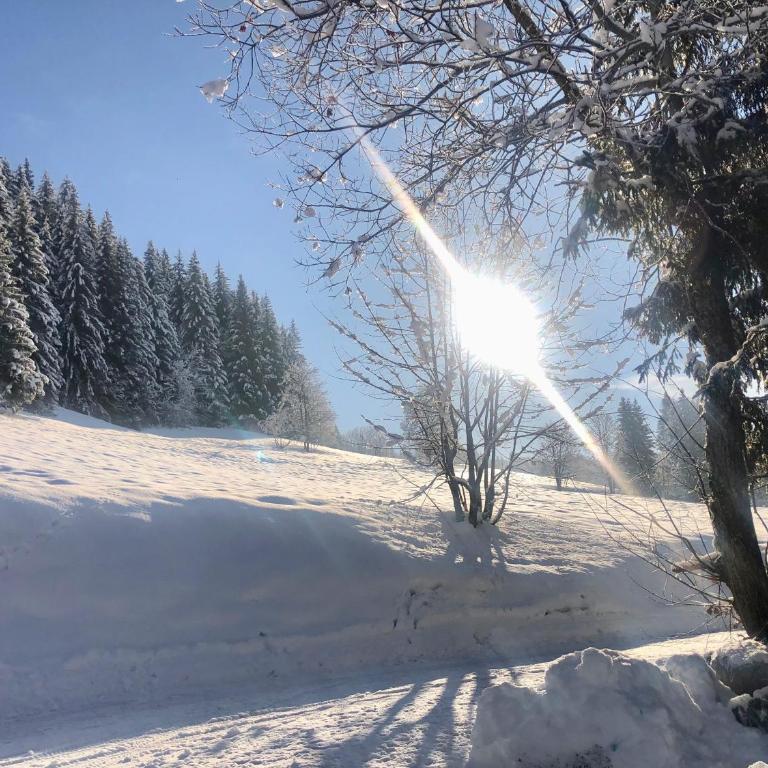 Le Chalet de Nabor - Chalet - 49