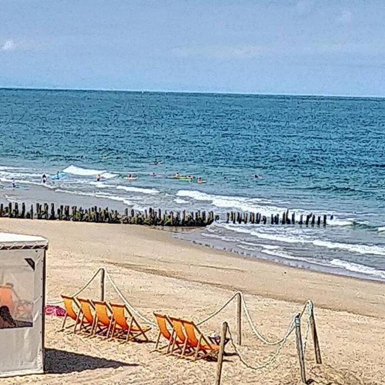 Villa sous les pins, plage à pied! Seignosse Océan - Villa am Strand - 37