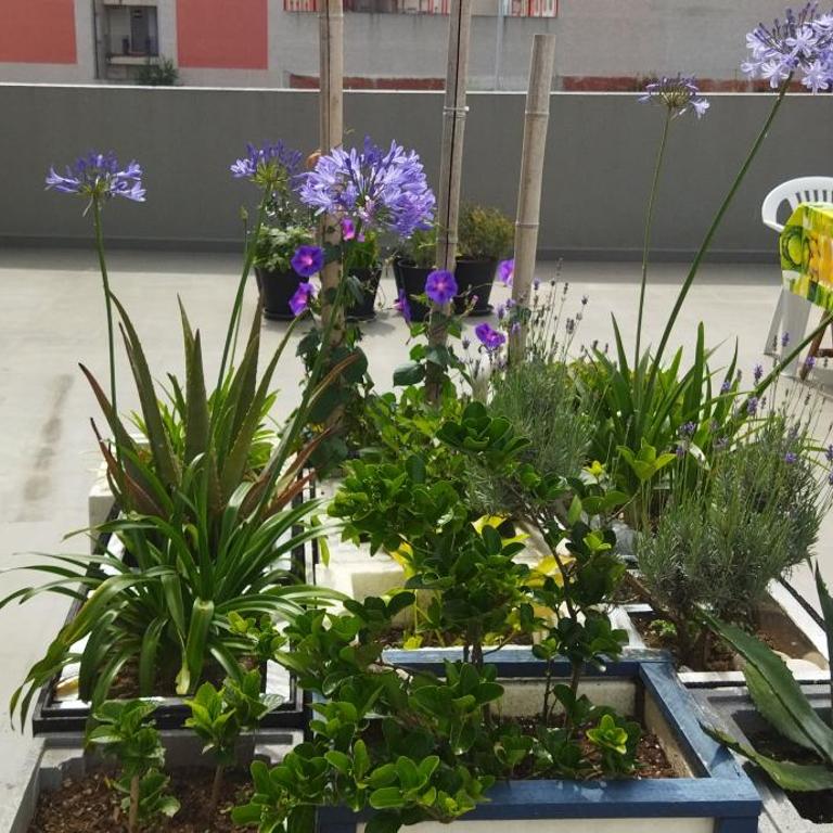 Sol de Foz - Apartamento de 2 dormitorios - 22