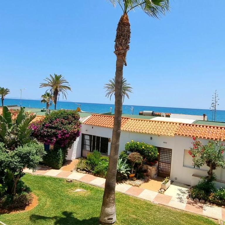 Tropicana playa - Family Studio - 10