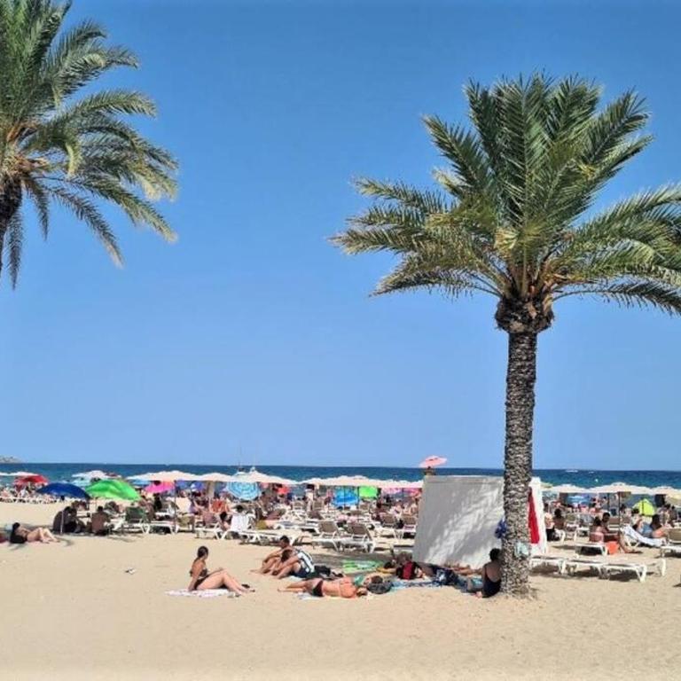 Apartamento en la Rambla Centro Alicante C - Three-Bedroom Apartment - 48